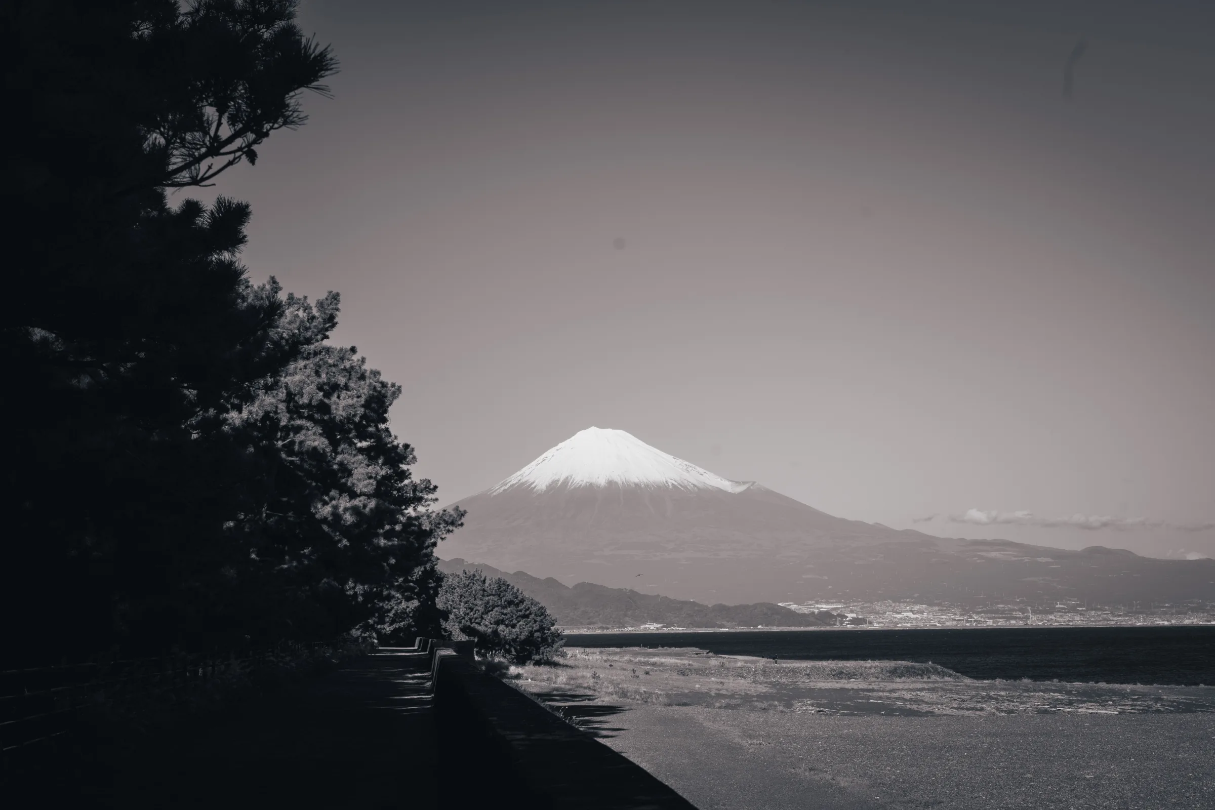 三保松原から望む富士山